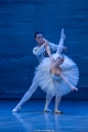 St Petersbourgballet (28)